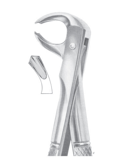 Fig. 73L lower molars left 